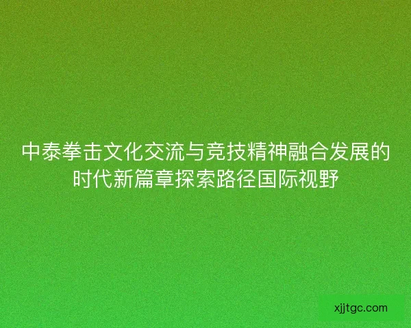 中泰拳击文化交流与竞技精神融合发展的时代新篇章探索路径国际视野